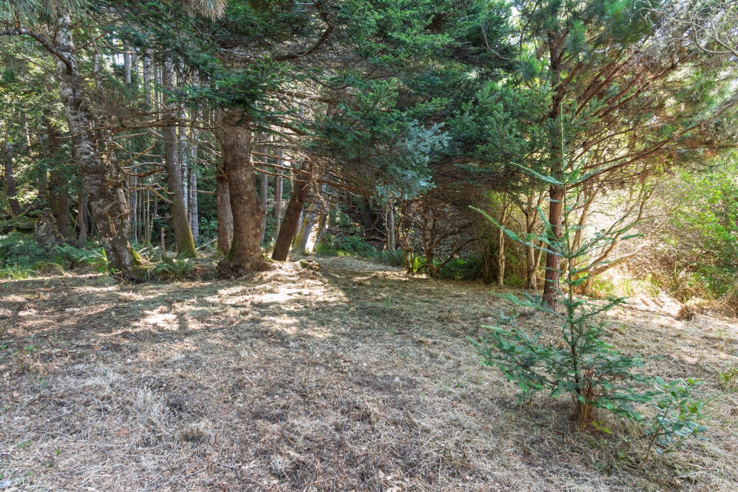 332 Antler Close The Sea Ranch CA 95497