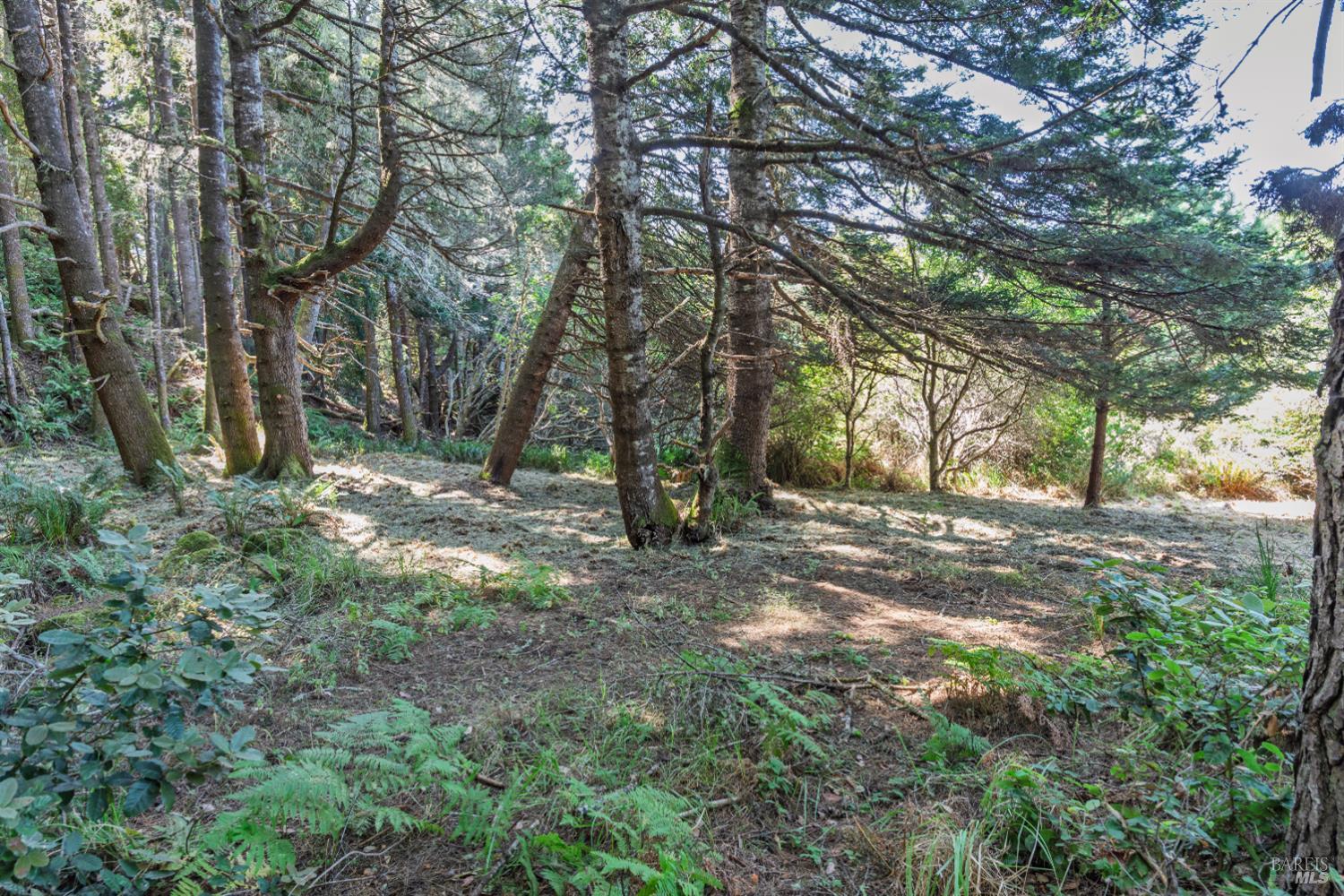332 Antler Close The Sea Ranch CA 95497