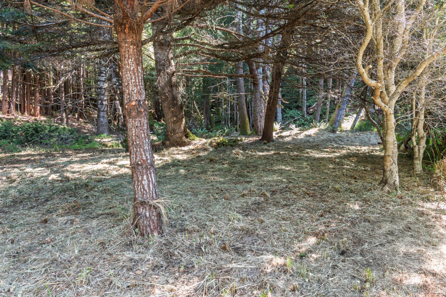 332 Antler Close The Sea Ranch CA 95497