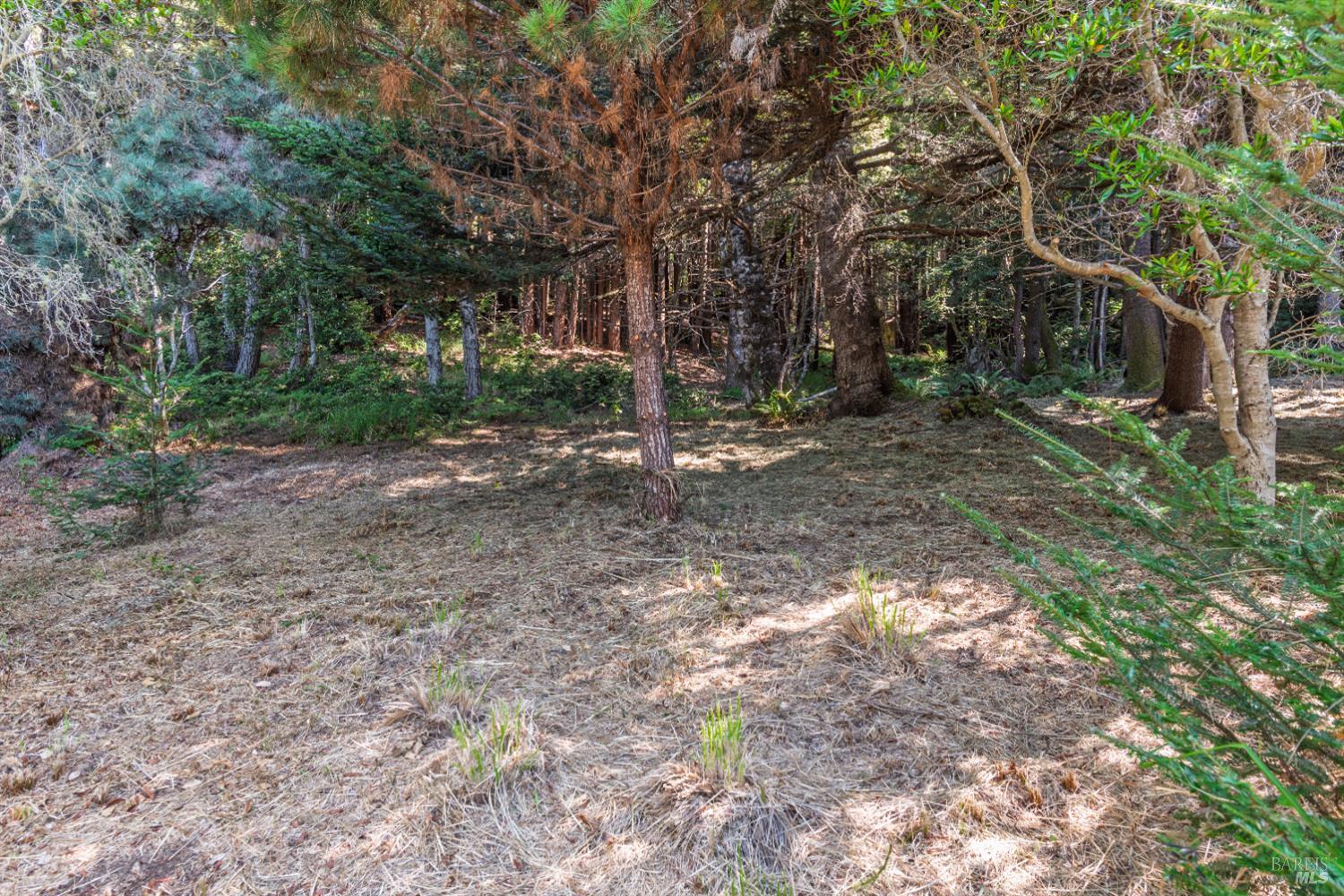 332 Antler Close The Sea Ranch CA 95497