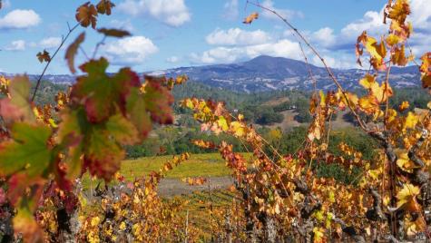 8983 W Dry Creek Road Healdsburg CA 95448