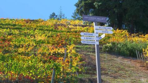 8983 W Dry Creek Road Healdsburg CA 95448