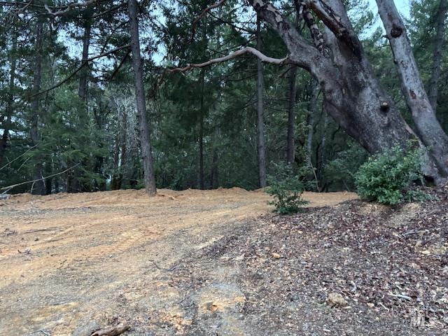 17707 Rockpile Road Geyserville CA 95441