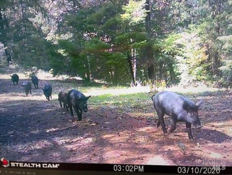 17707 Rockpile Road Geyserville CA 95441