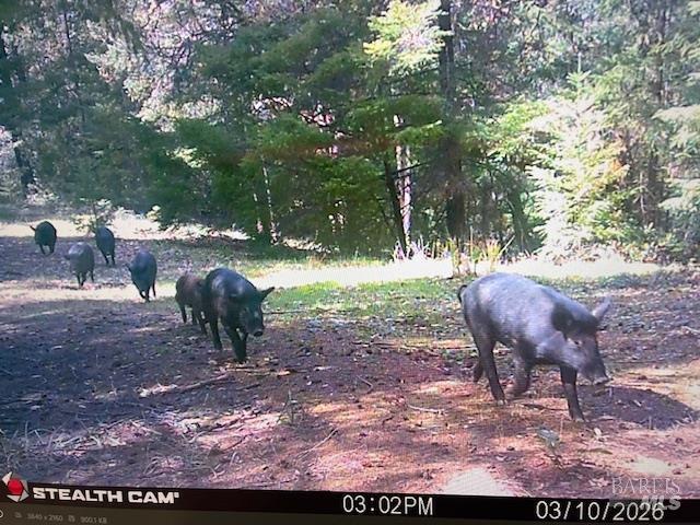 17707 Rockpile Road Geyserville CA 95441