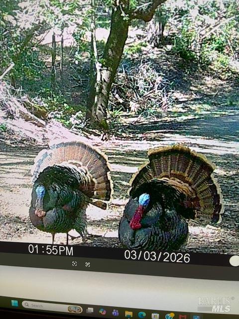 17707 Rockpile Road Geyserville CA 95441