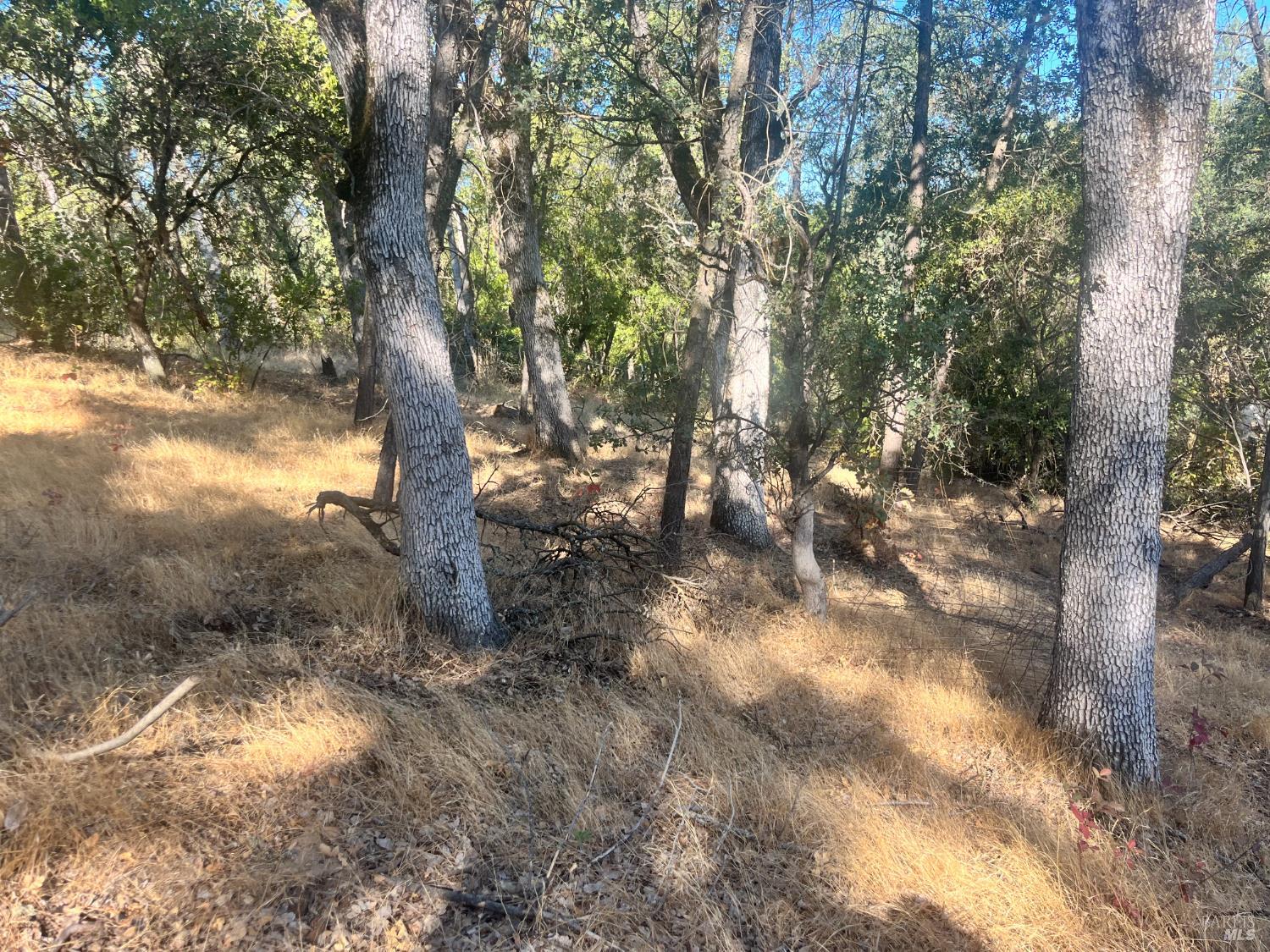 15316 Brannan Street Clearlake CA 95422