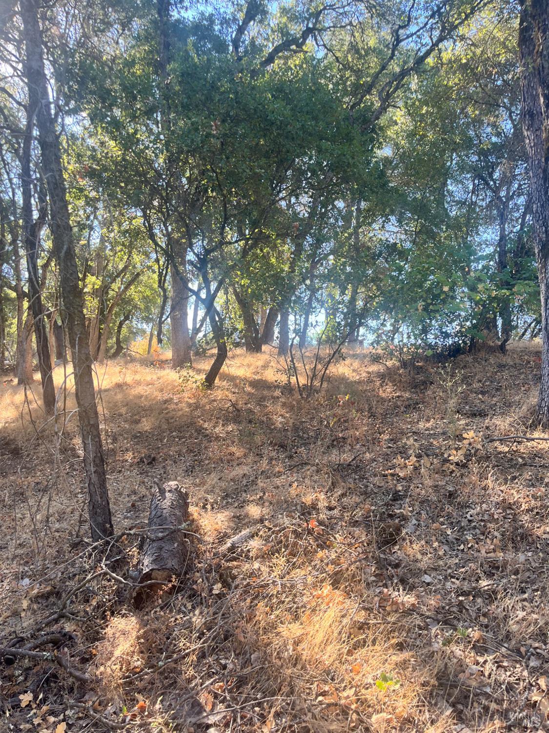 15316 Brannan Street Clearlake CA 95422