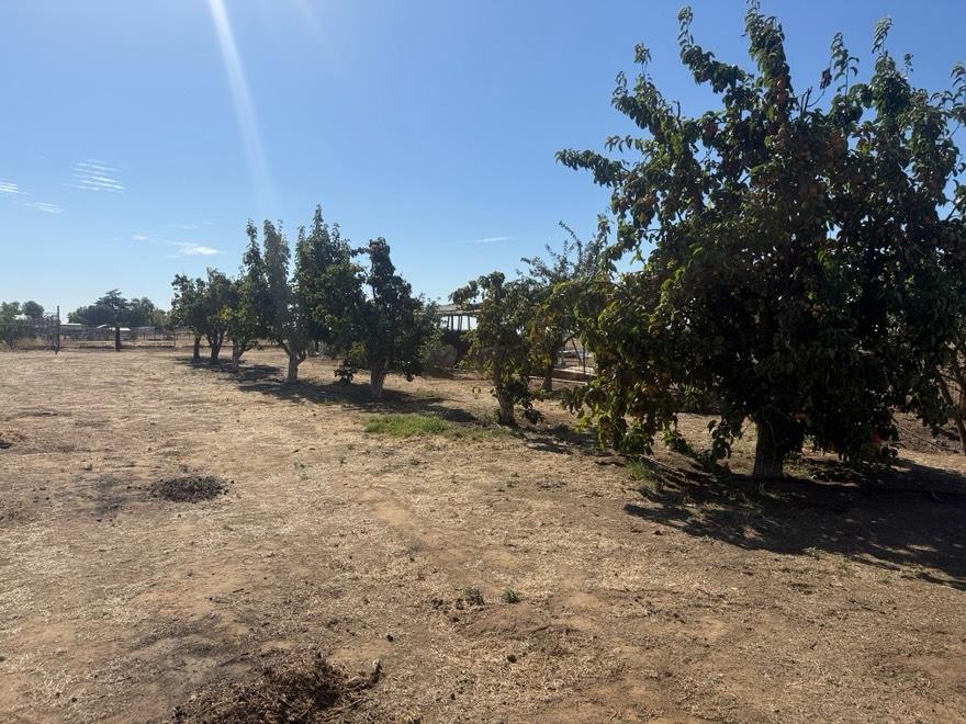 19780 Avenue 22 1/2 Chowchilla CA 93610