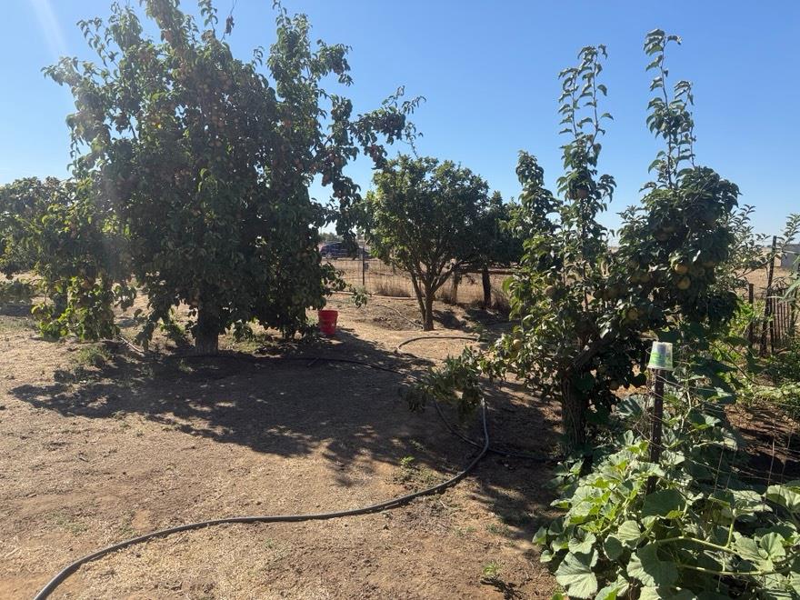 19780 Avenue 22 1/2 Chowchilla CA 93610
