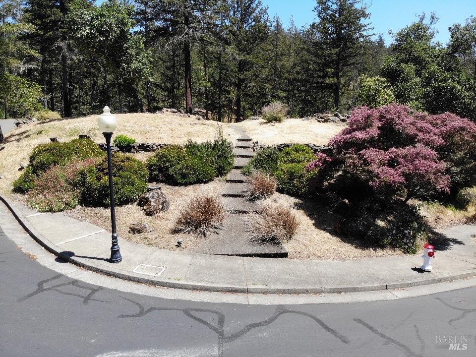 3829 Moss Hollow Court Santa Rosa CA 95404