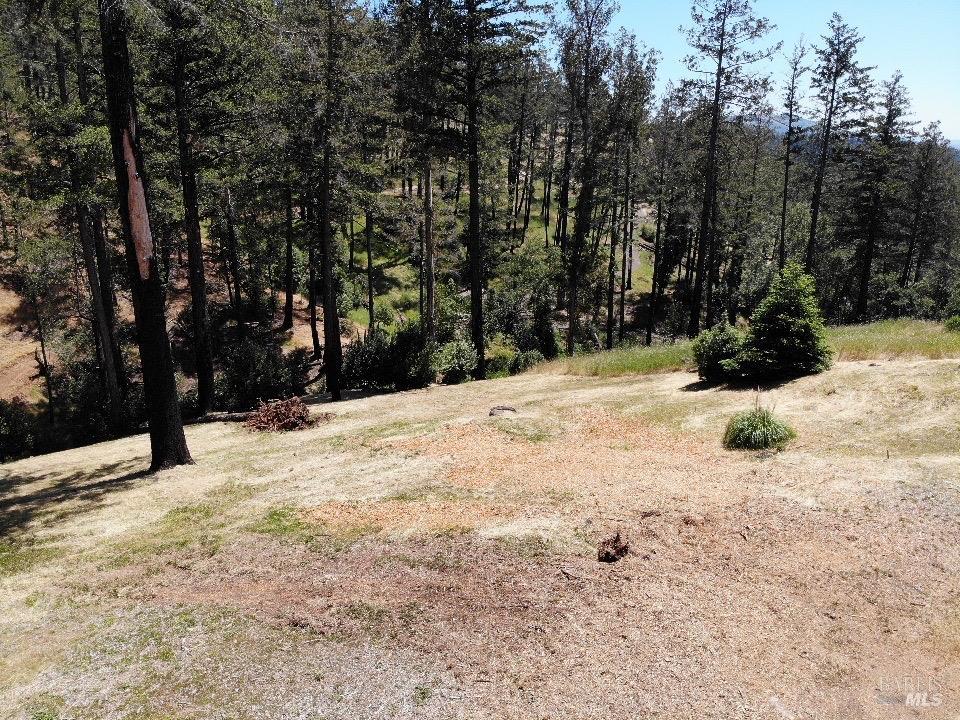 3829 Moss Hollow Court Santa Rosa CA 95404