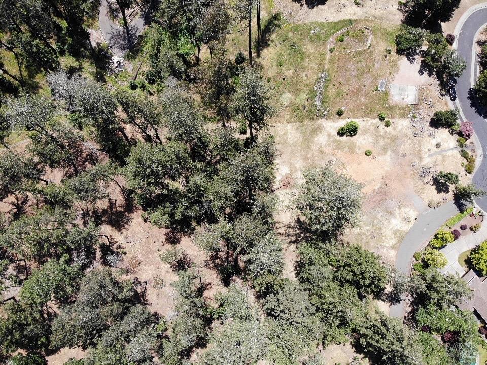 3829 Moss Hollow Court Santa Rosa CA 95404