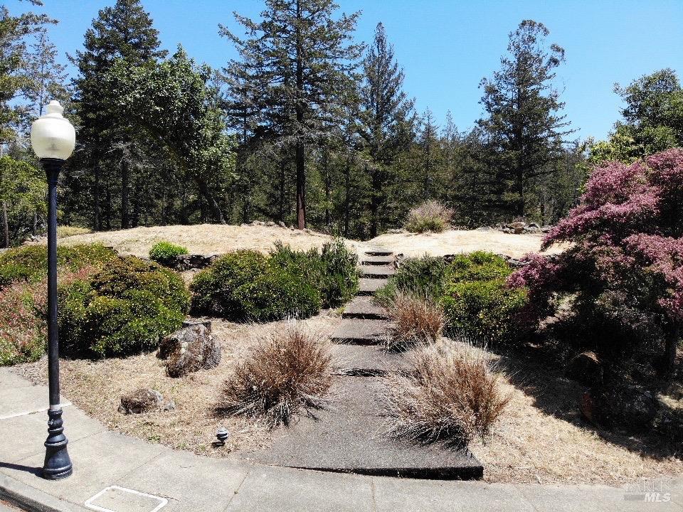 3829 Moss Hollow Court Santa Rosa CA 95404