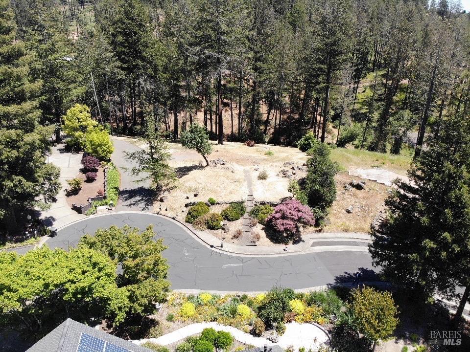 3829 Moss Hollow Court Santa Rosa CA 95404