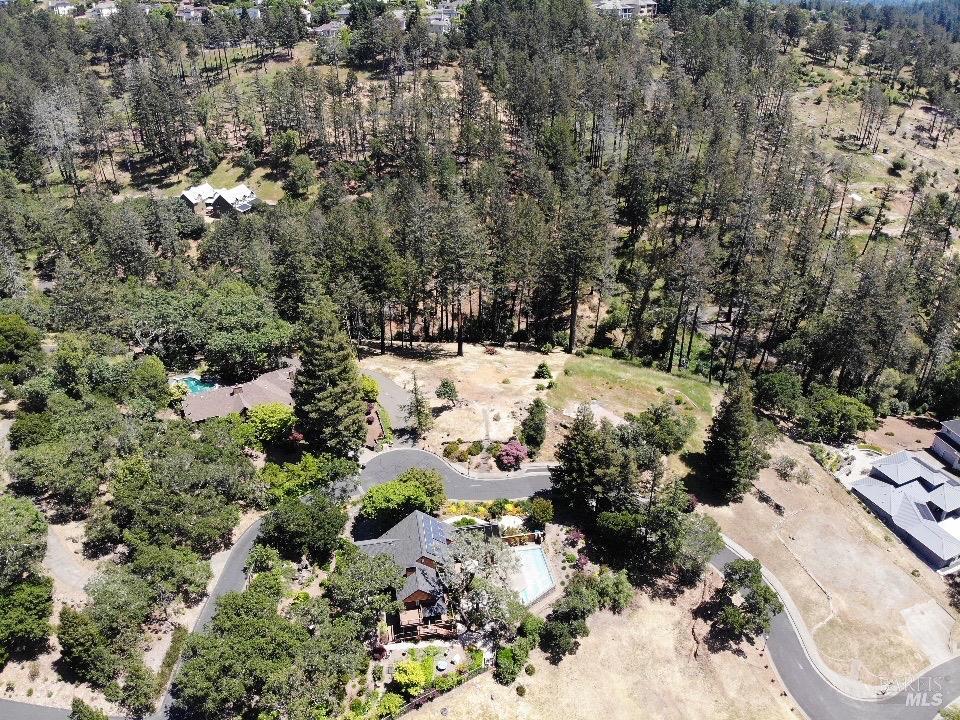 3829 Moss Hollow Court Santa Rosa CA 95404
