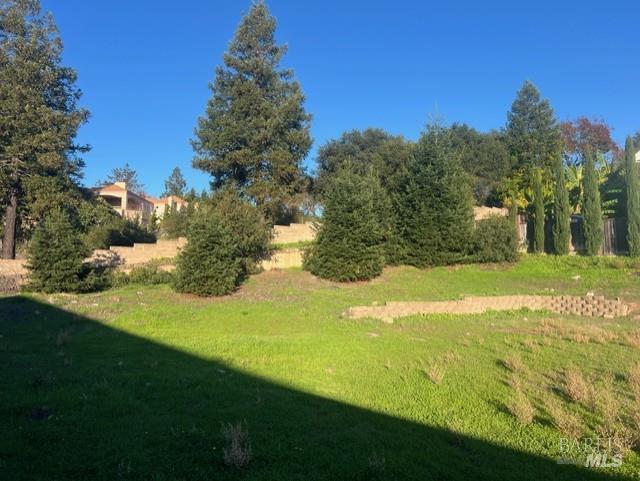 2005 Bracken Court Santa Rosa CA 95403
