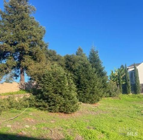 2005 Bracken Court Santa Rosa CA 95403