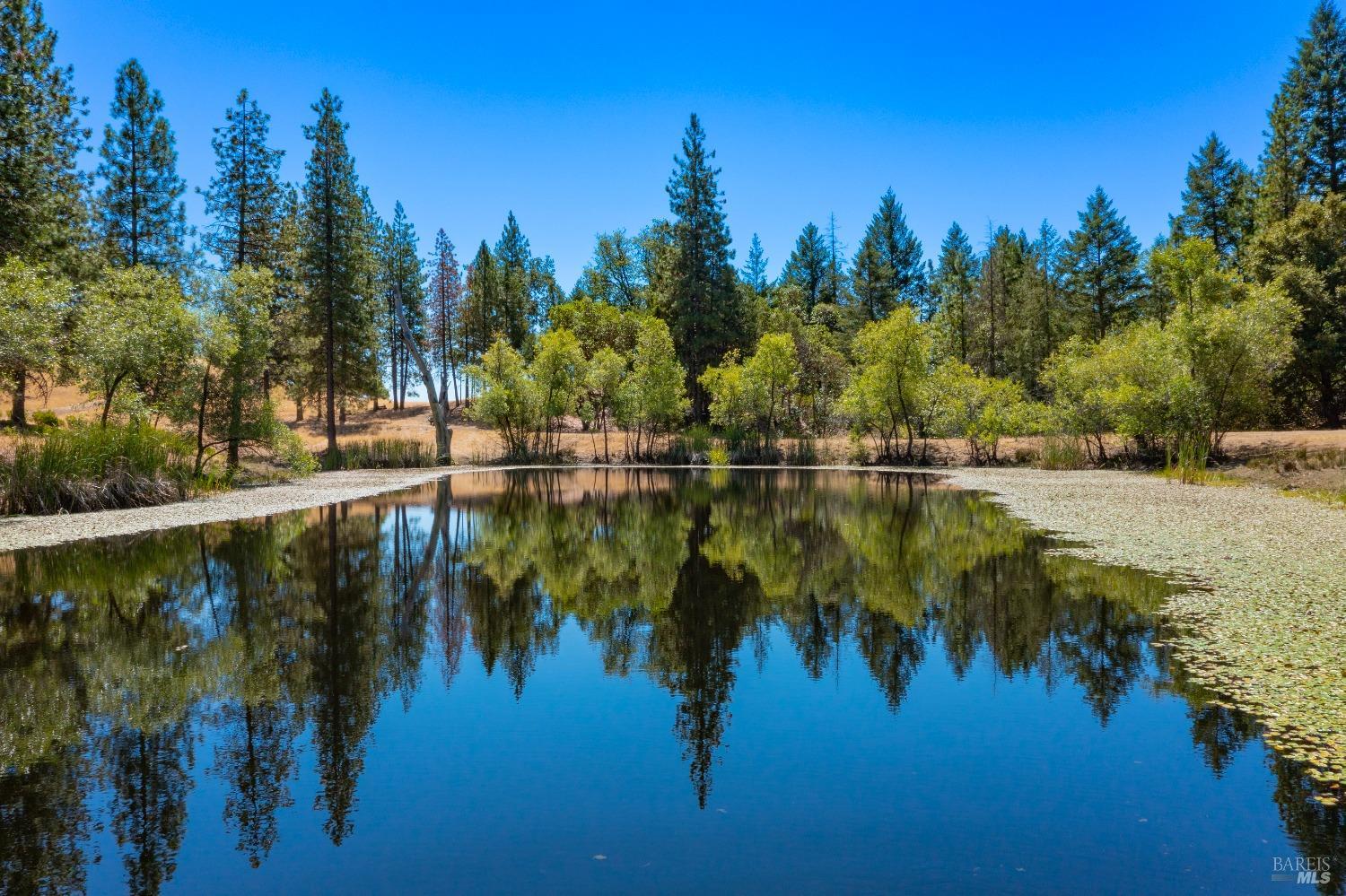 58380 Ca-162 Covelo CA 95428