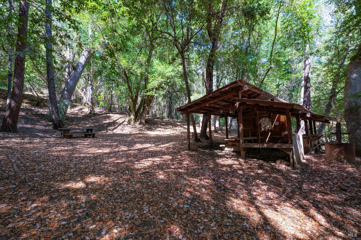 58380 Ca-162 Covelo CA 95428