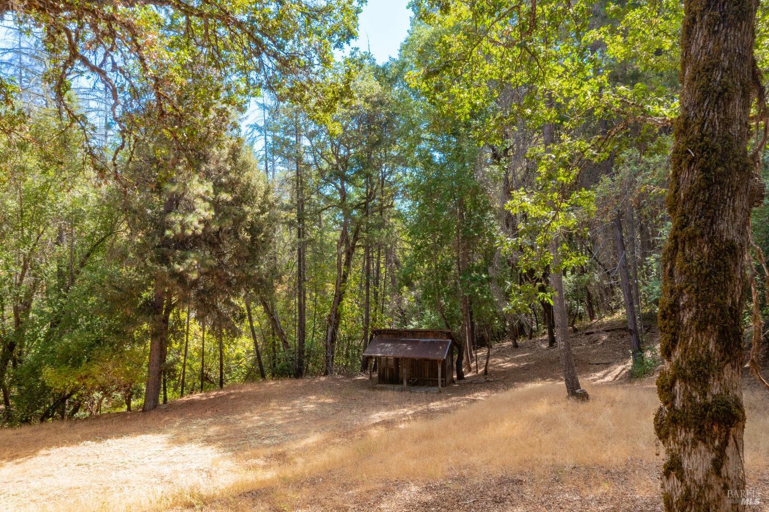 58380 Ca-162 Covelo CA 95428