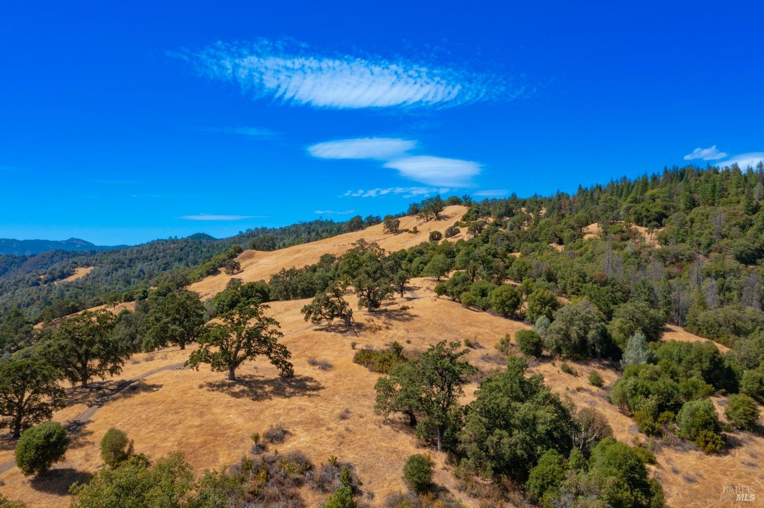 58380 Ca-162 Covelo CA 95428