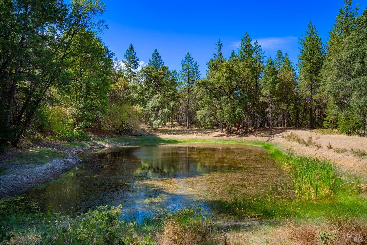 58380 Ca-162 Covelo CA 95428