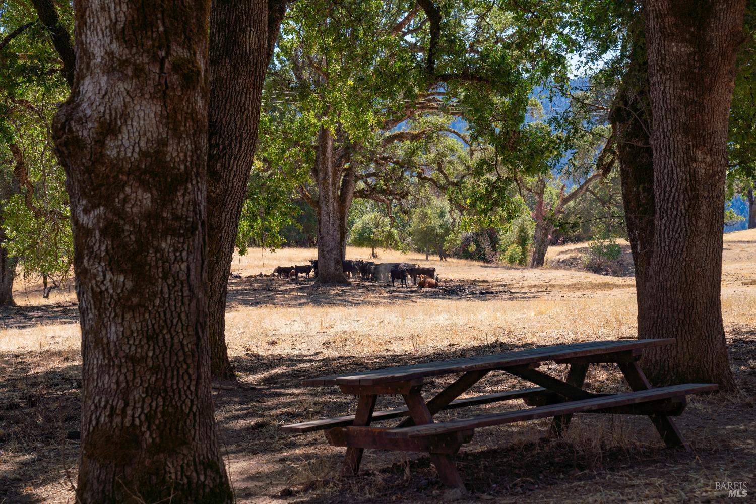 58380 Ca-162 Covelo CA 95428
