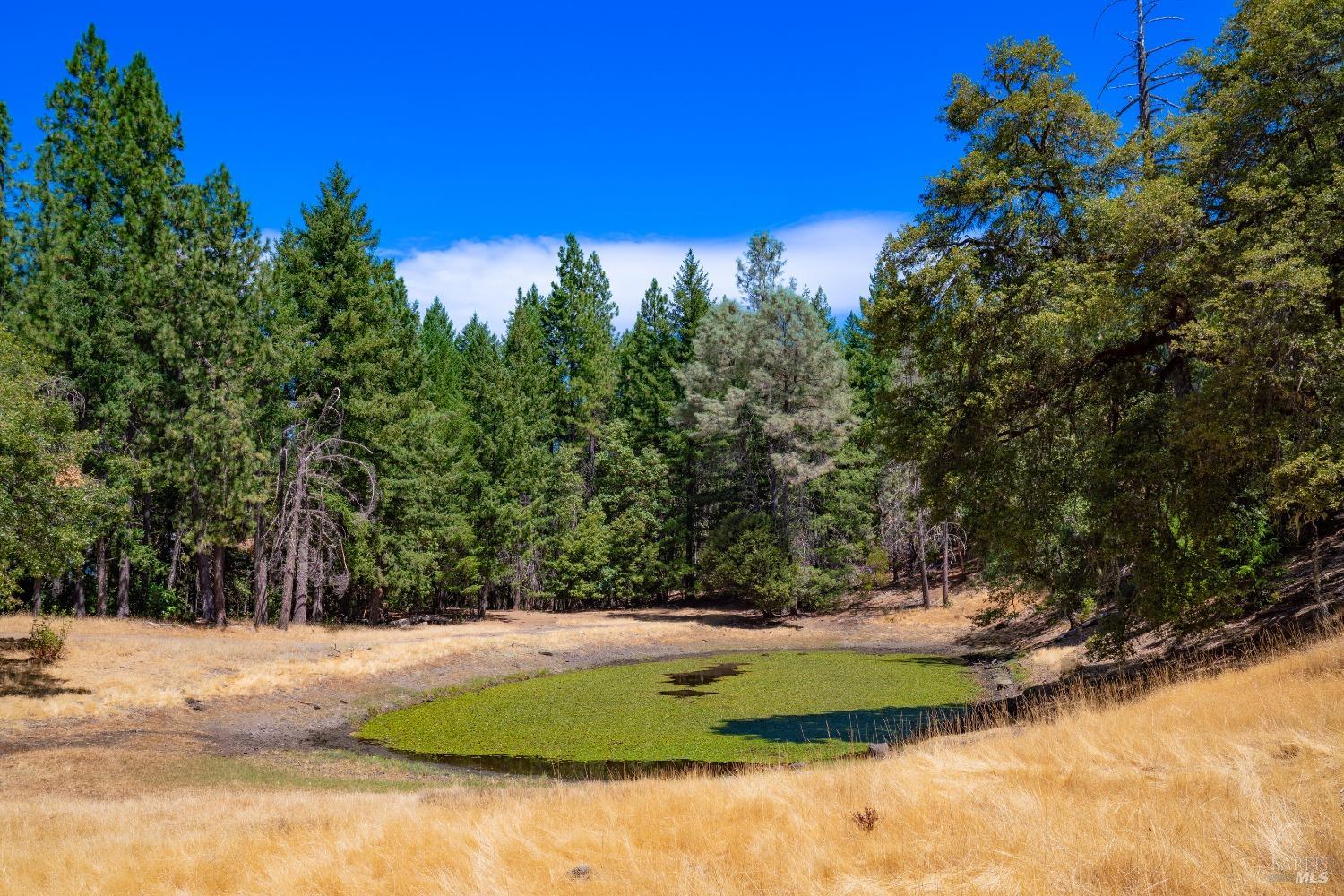 58380 Ca-162 Covelo CA 95428