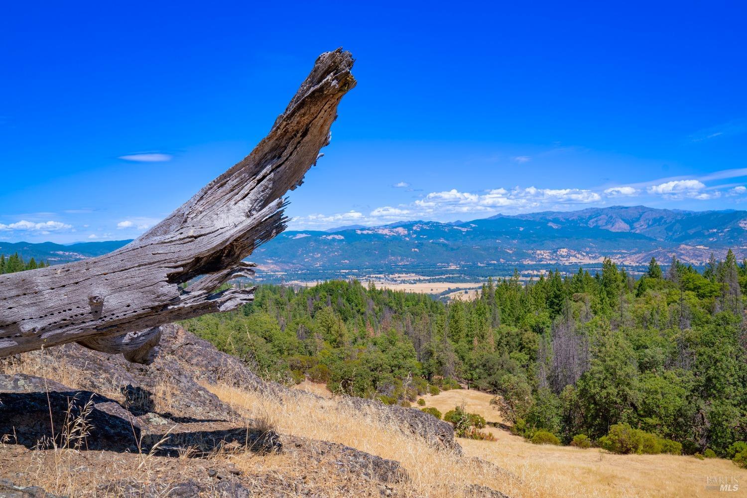 58380 Ca-162 Covelo CA 95428
