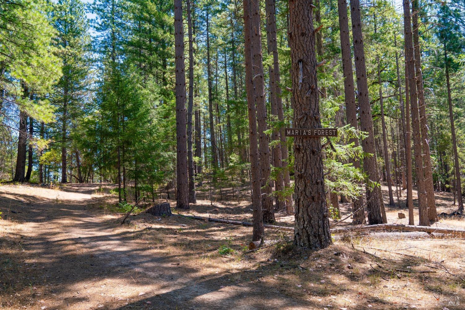 58380 Ca-162 Covelo CA 95428