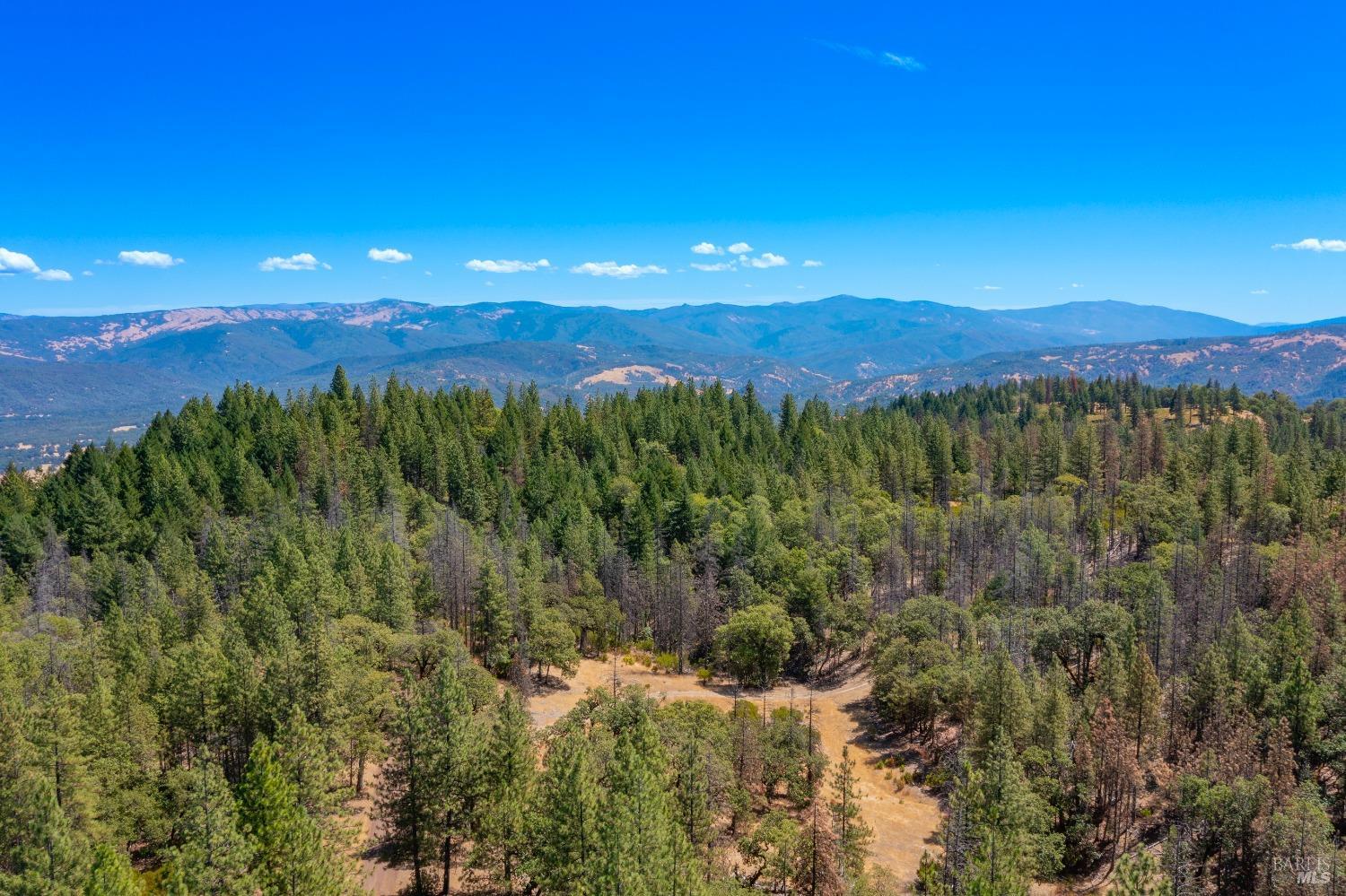 58380 Ca-162 Covelo CA 95428