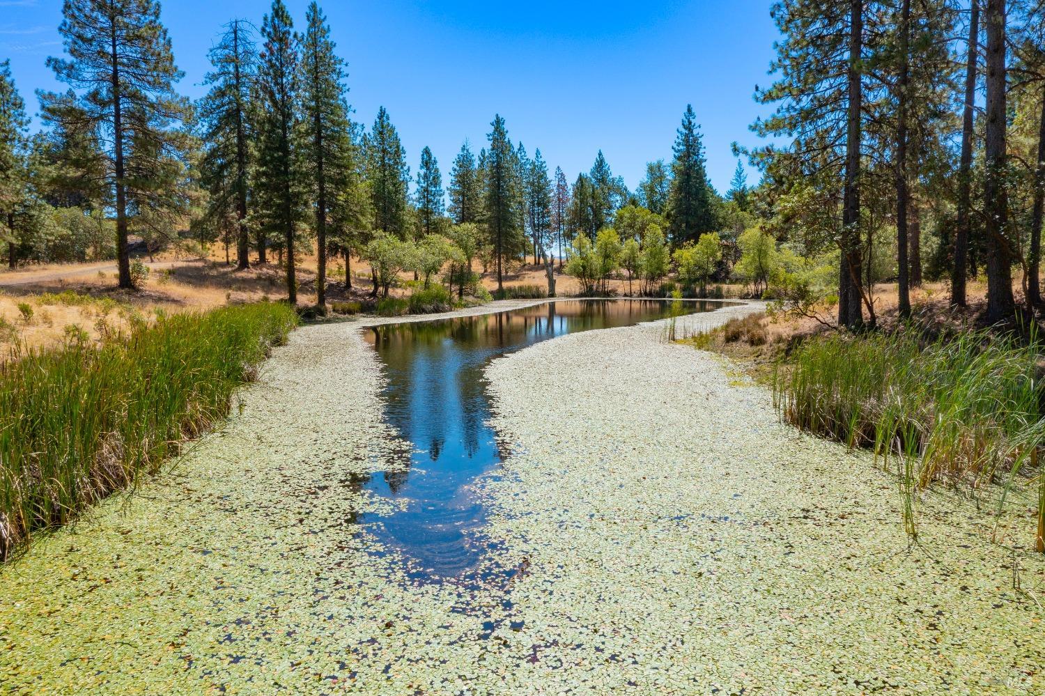 58380 Ca-162 Covelo CA 95428