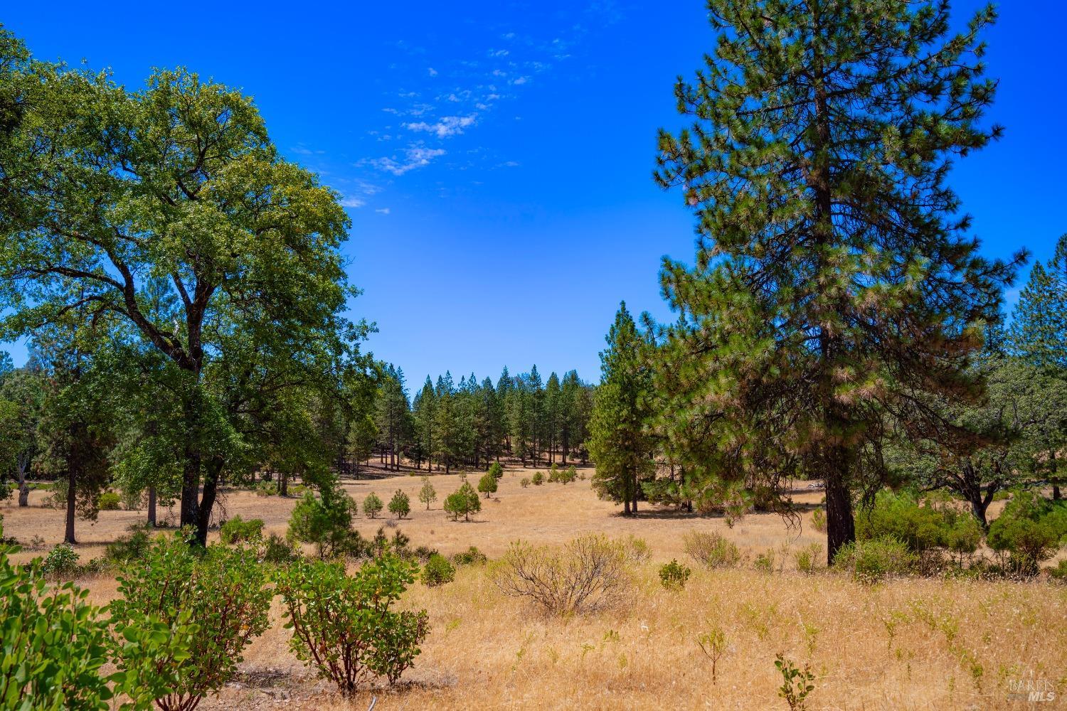 58380 Ca-162 Covelo CA 95428