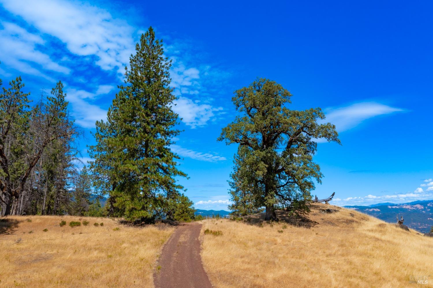 58380 Ca-162 Covelo CA 95428