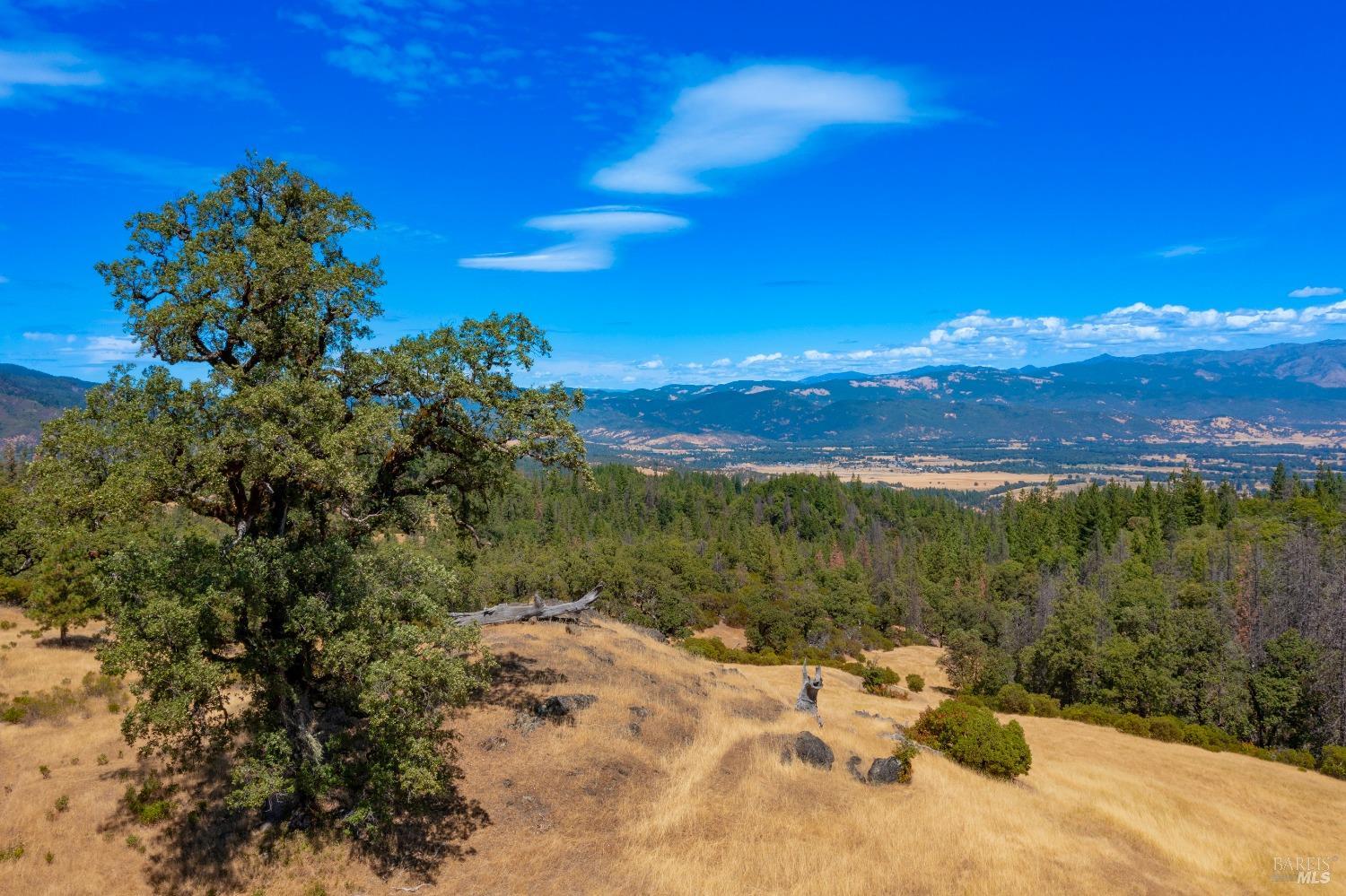 58380 Ca-162 Covelo CA 95428