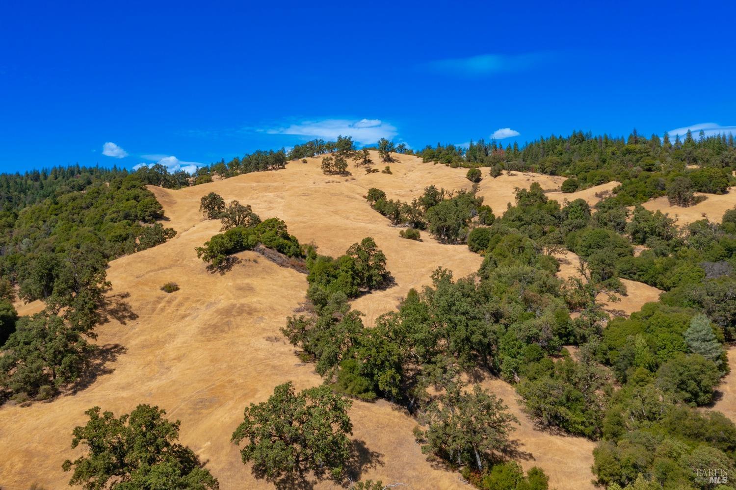 58380 Ca-162 Covelo CA 95428