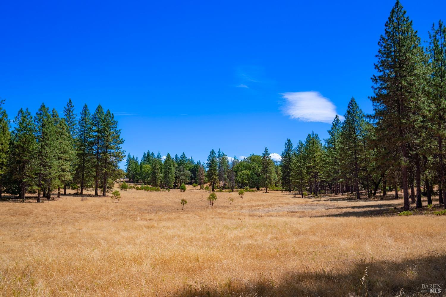 58380 Ca-162 Covelo CA 95428