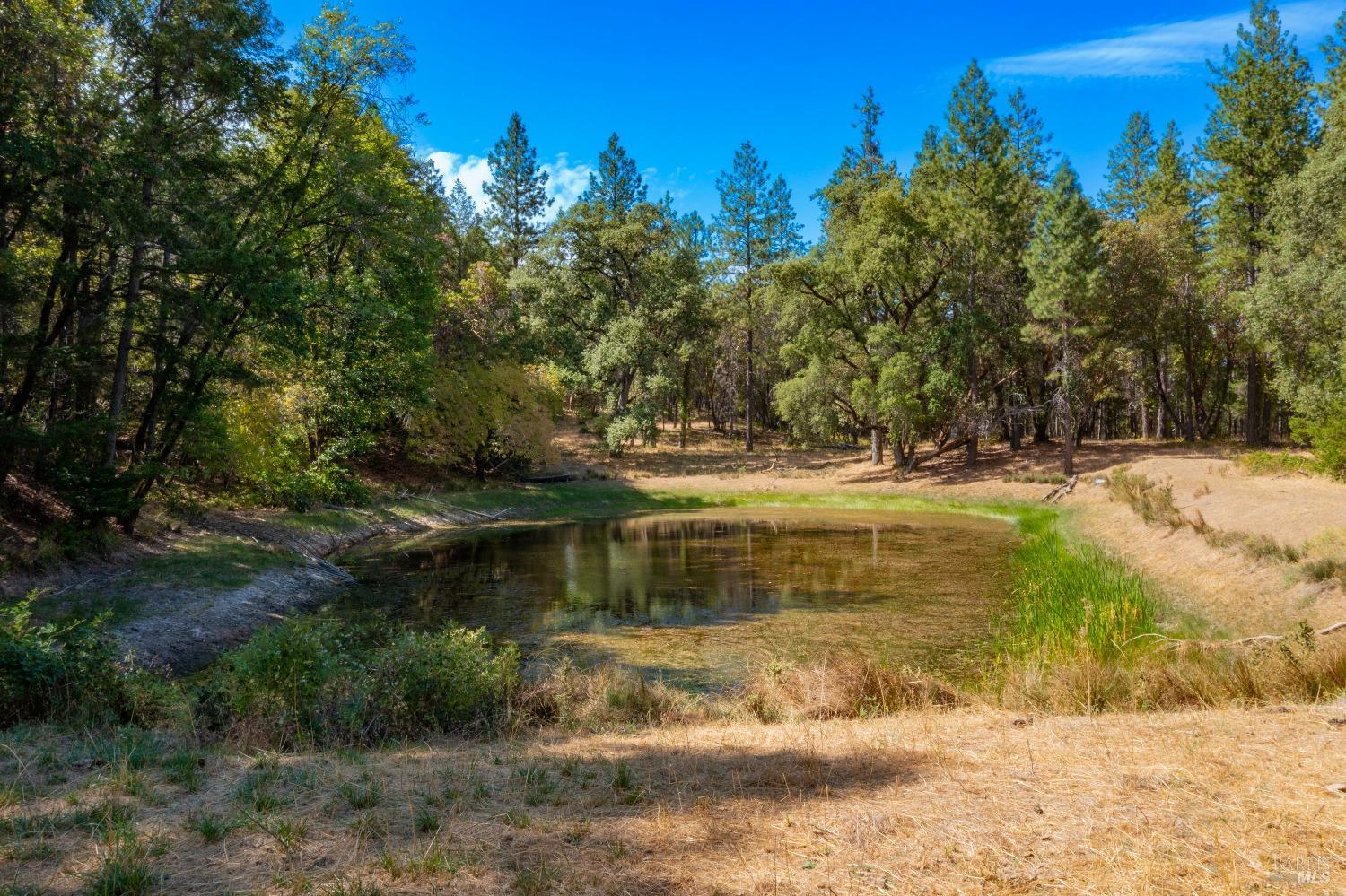 58380 Ca-162 Covelo CA 95428
