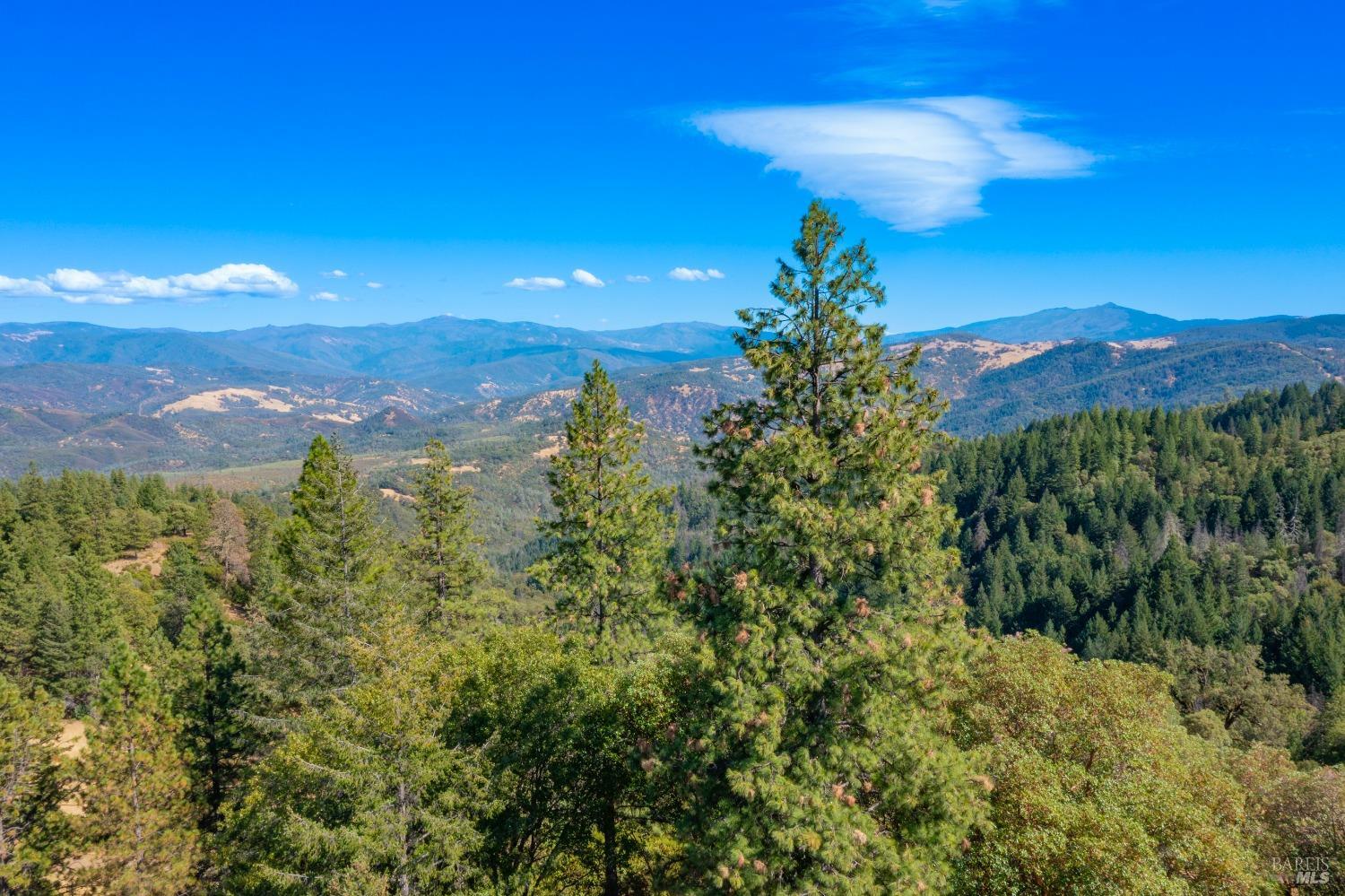 58380 Ca-162 Covelo CA 95428