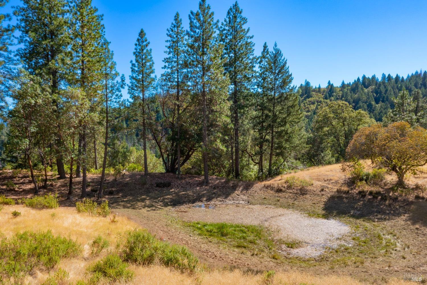 58380 Ca-162 Covelo CA 95428