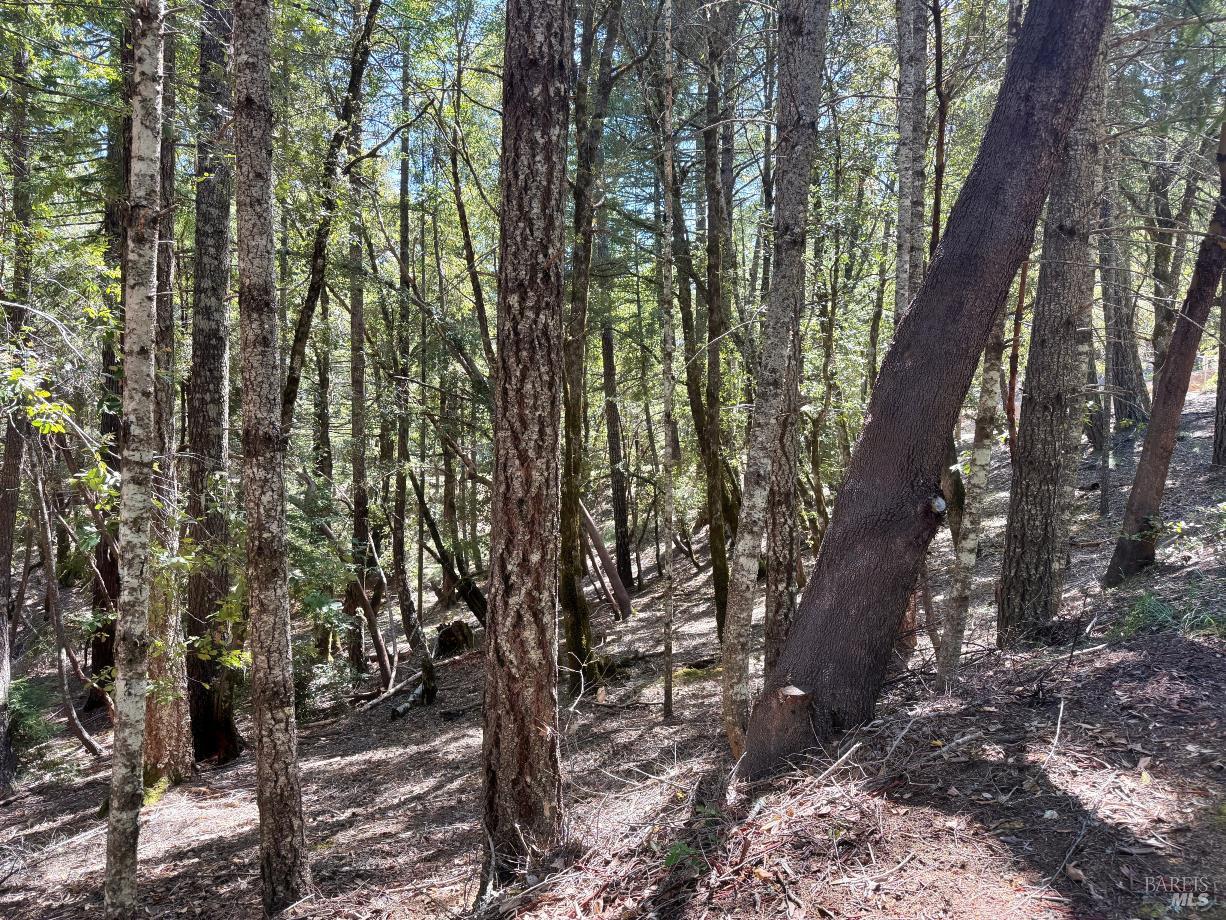 4541 Blue Lake Road Willits CA 95490