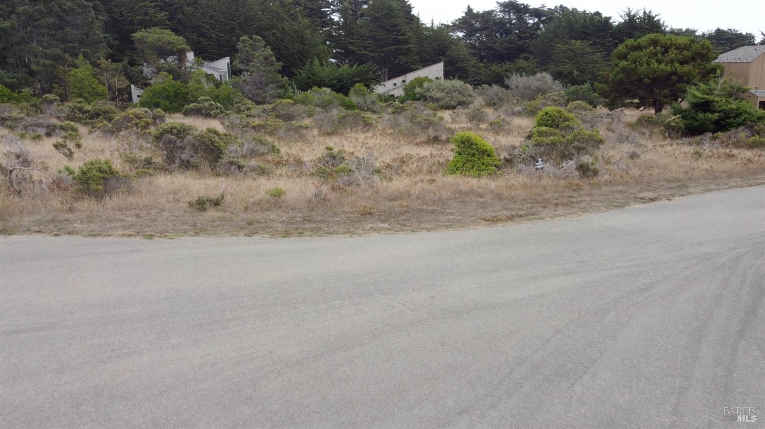 74 Burl Tree The Sea Ranch CA 95497