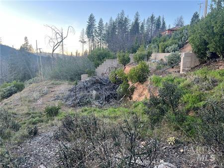 16789 Starview Loop Cobb CA 95426