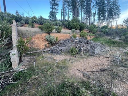 16789 Starview Loop Cobb CA 95426