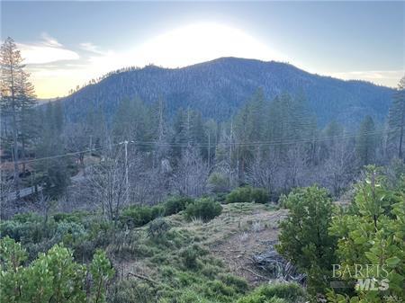 16789 Starview Loop Cobb CA 95426