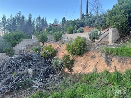 16789 Starview Loop Cobb CA 95426