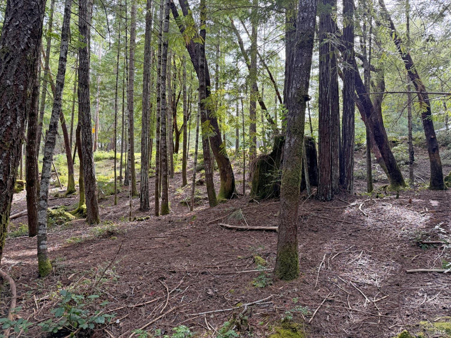 24908-24912 Clover Road Willits CA 95490