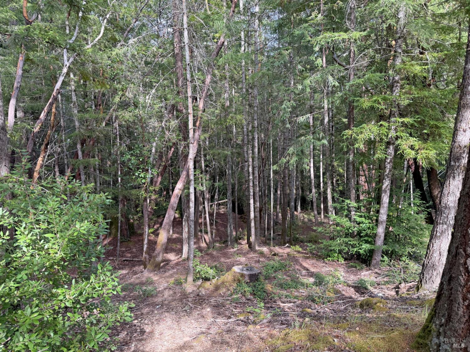 24908-24912 Clover Road Willits CA 95490