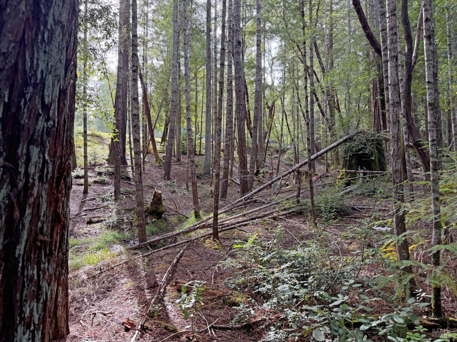 24908-24912 Clover Road Willits CA 95490